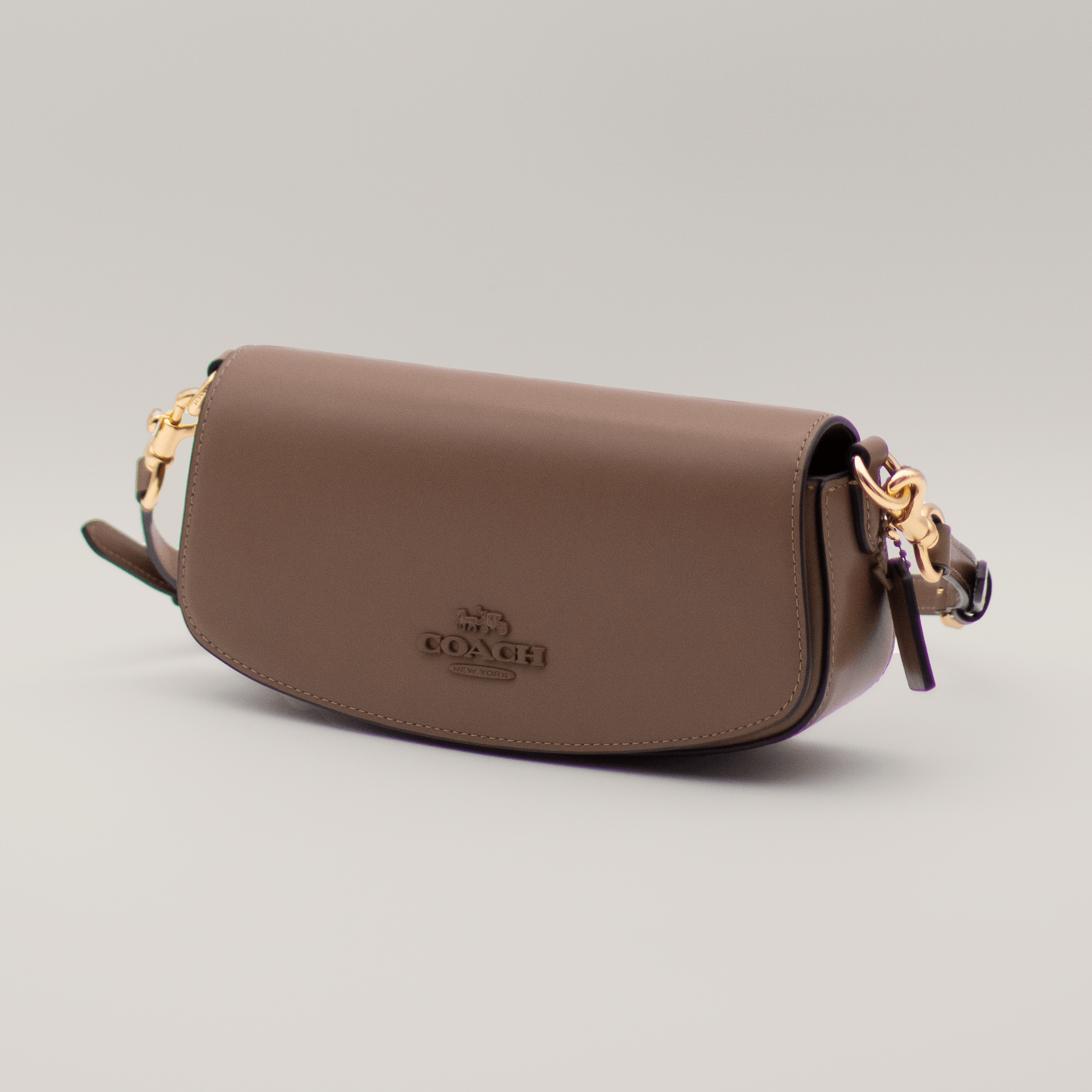 Coach Andrea Shoulder Bag
