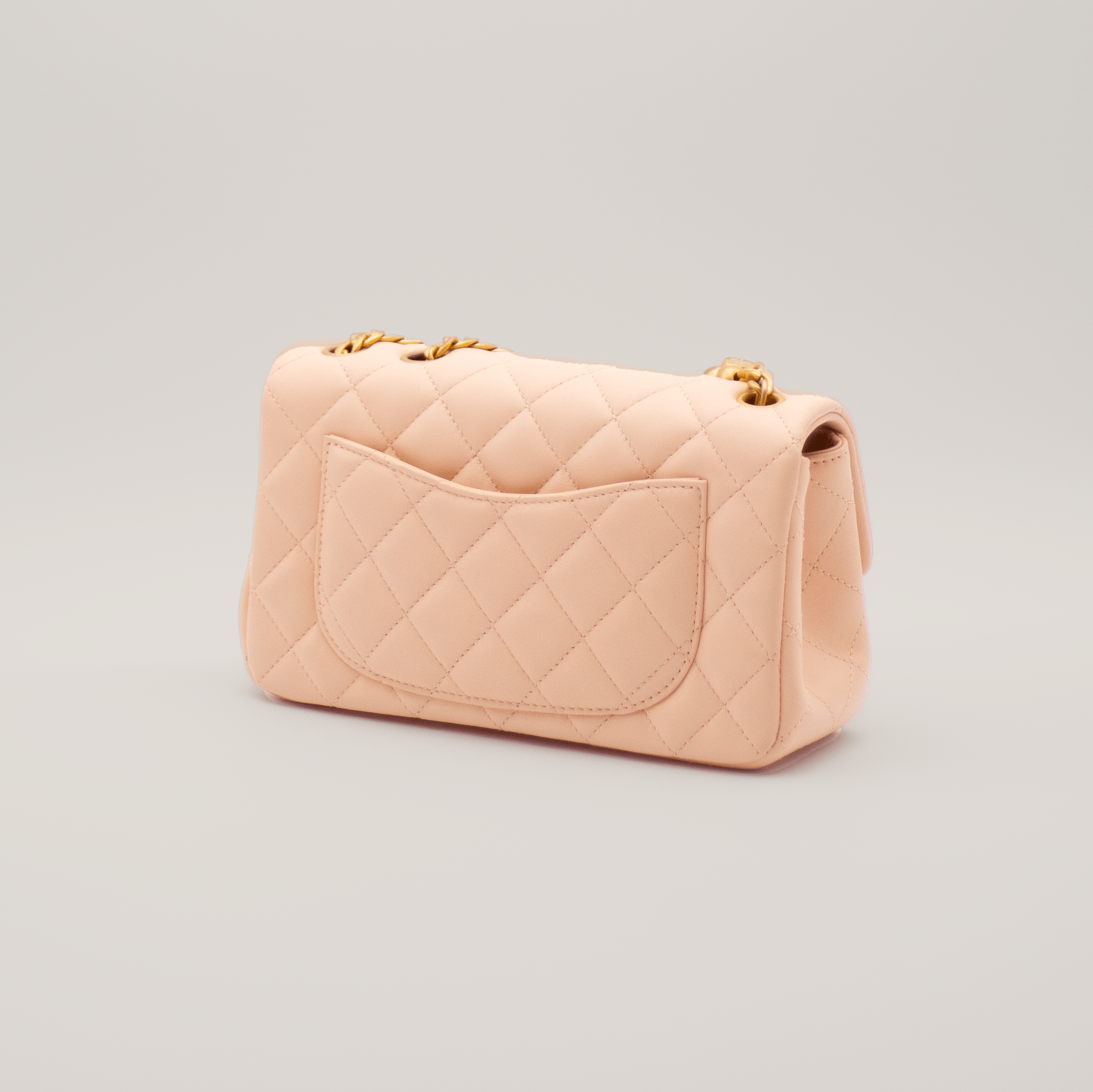 Chanel Mini Flap Bag with Camellia Chain