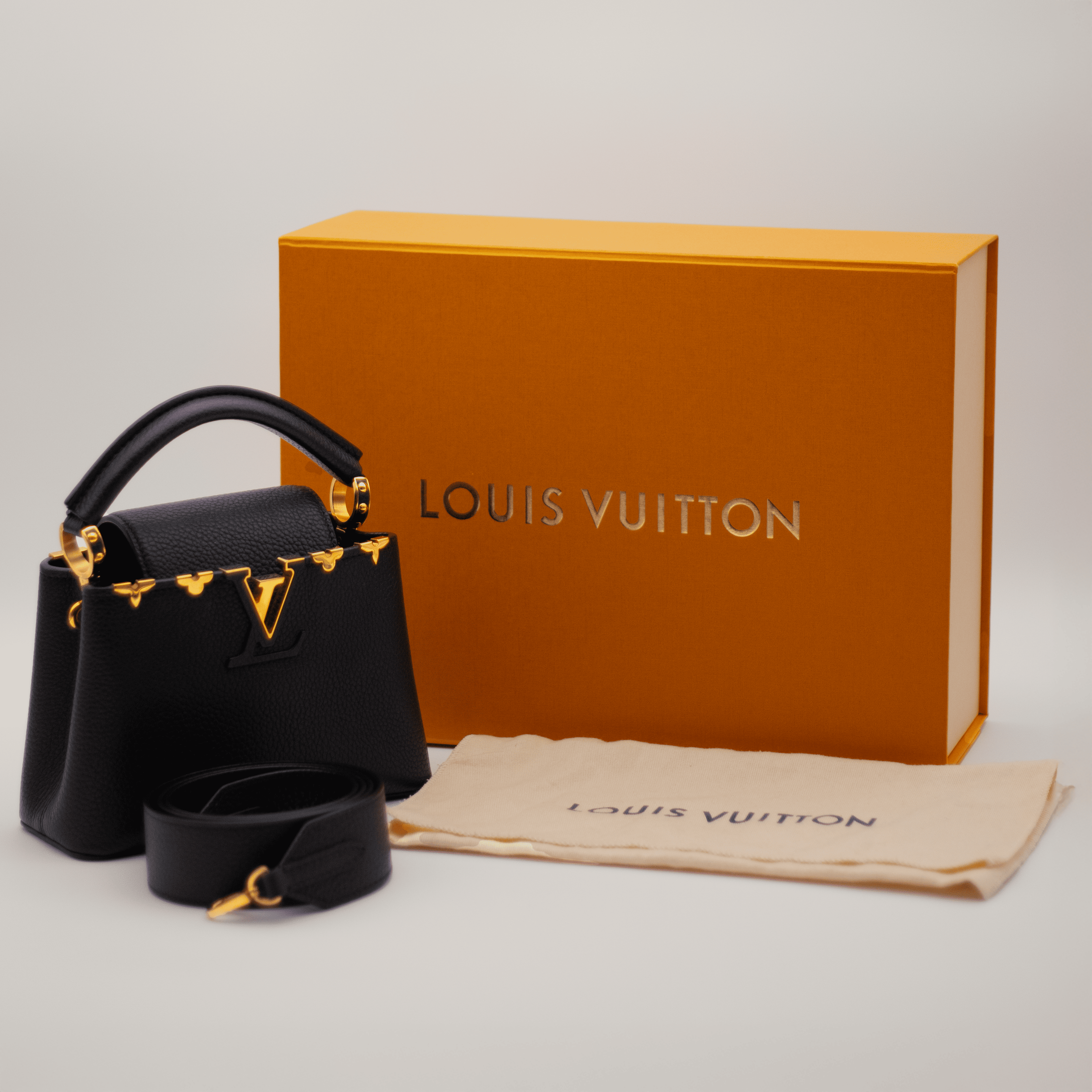 Louis Vuitton Capucines Mini Bag