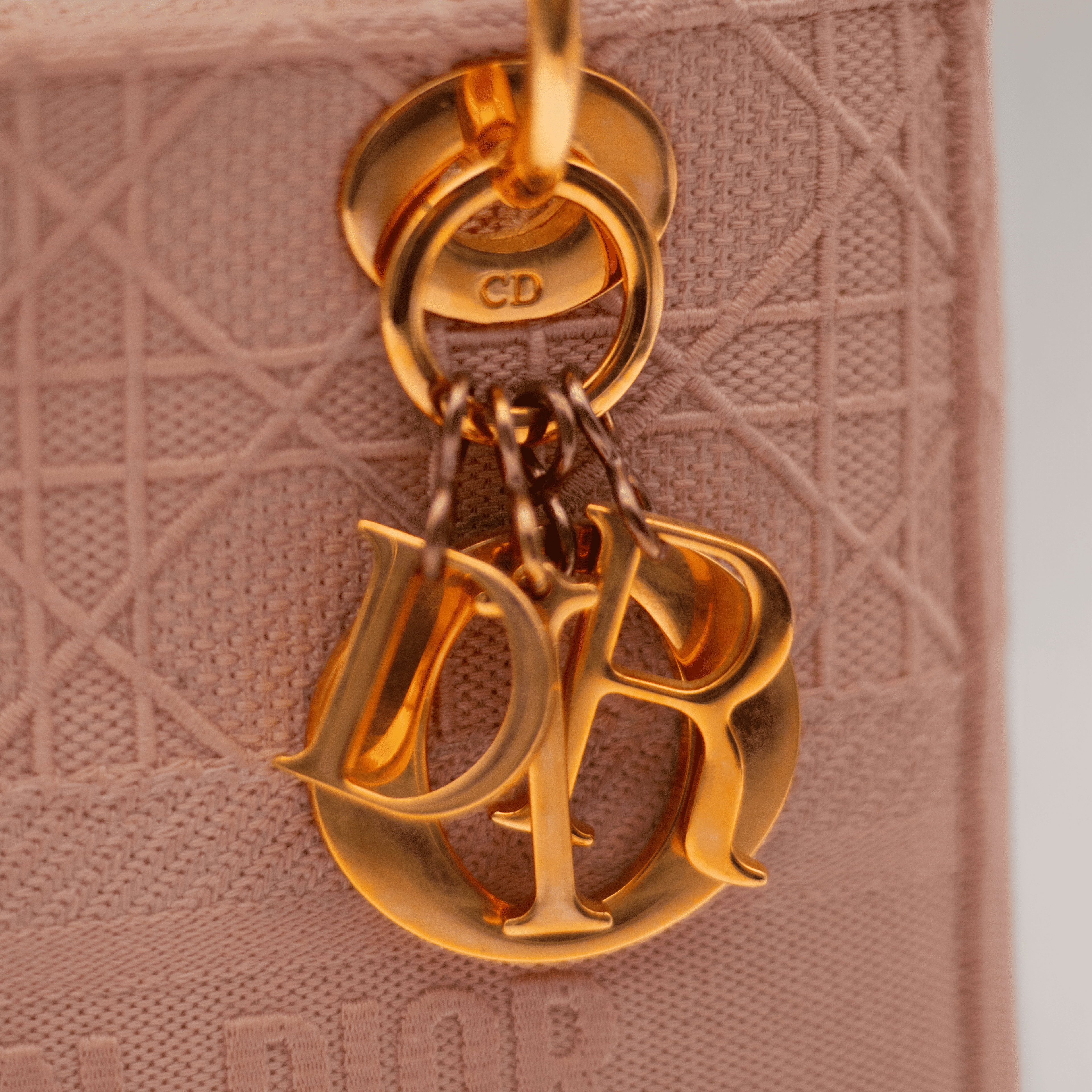 Christian Dior Lady Dior D-Lite