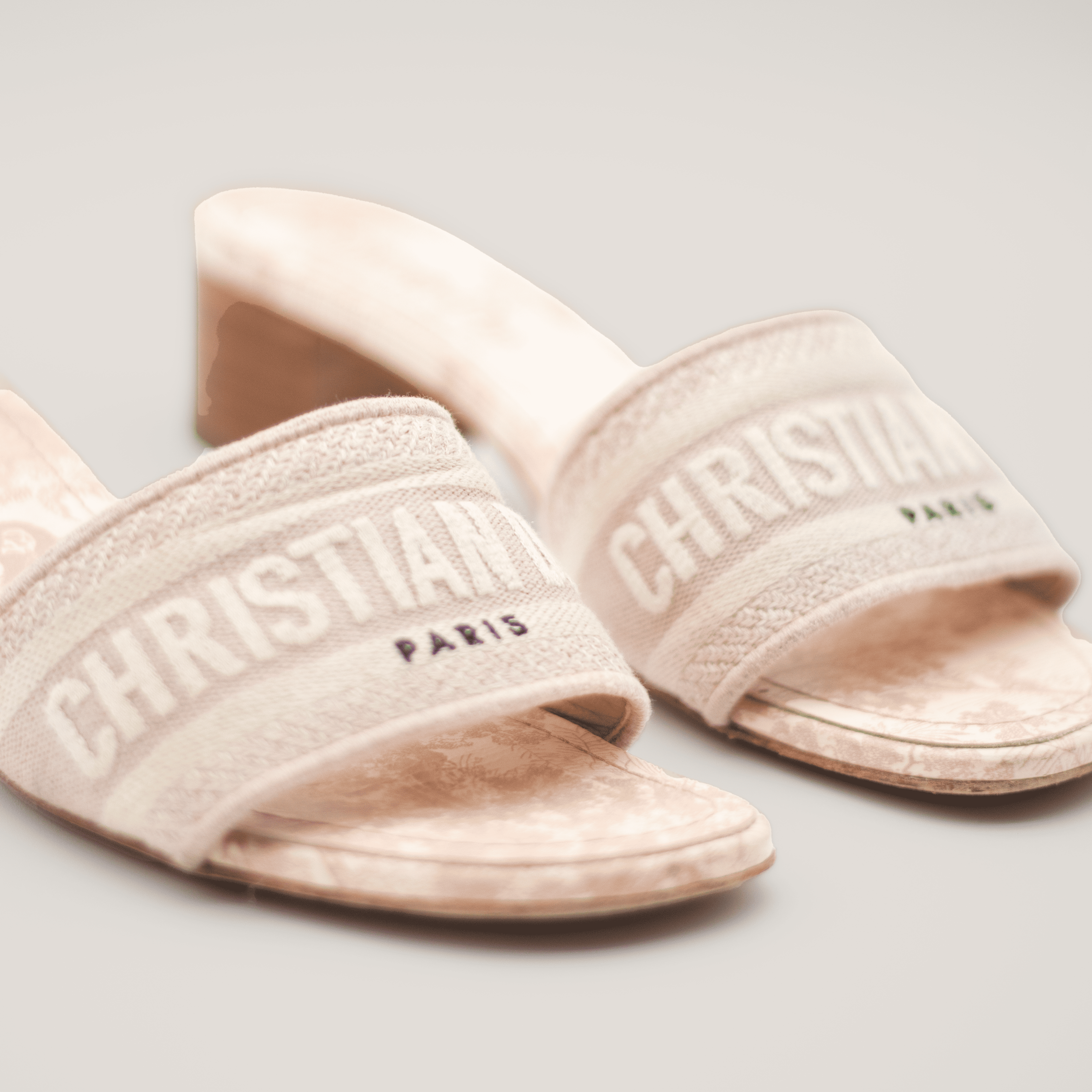 Christian Dior Dway Heeled Slide