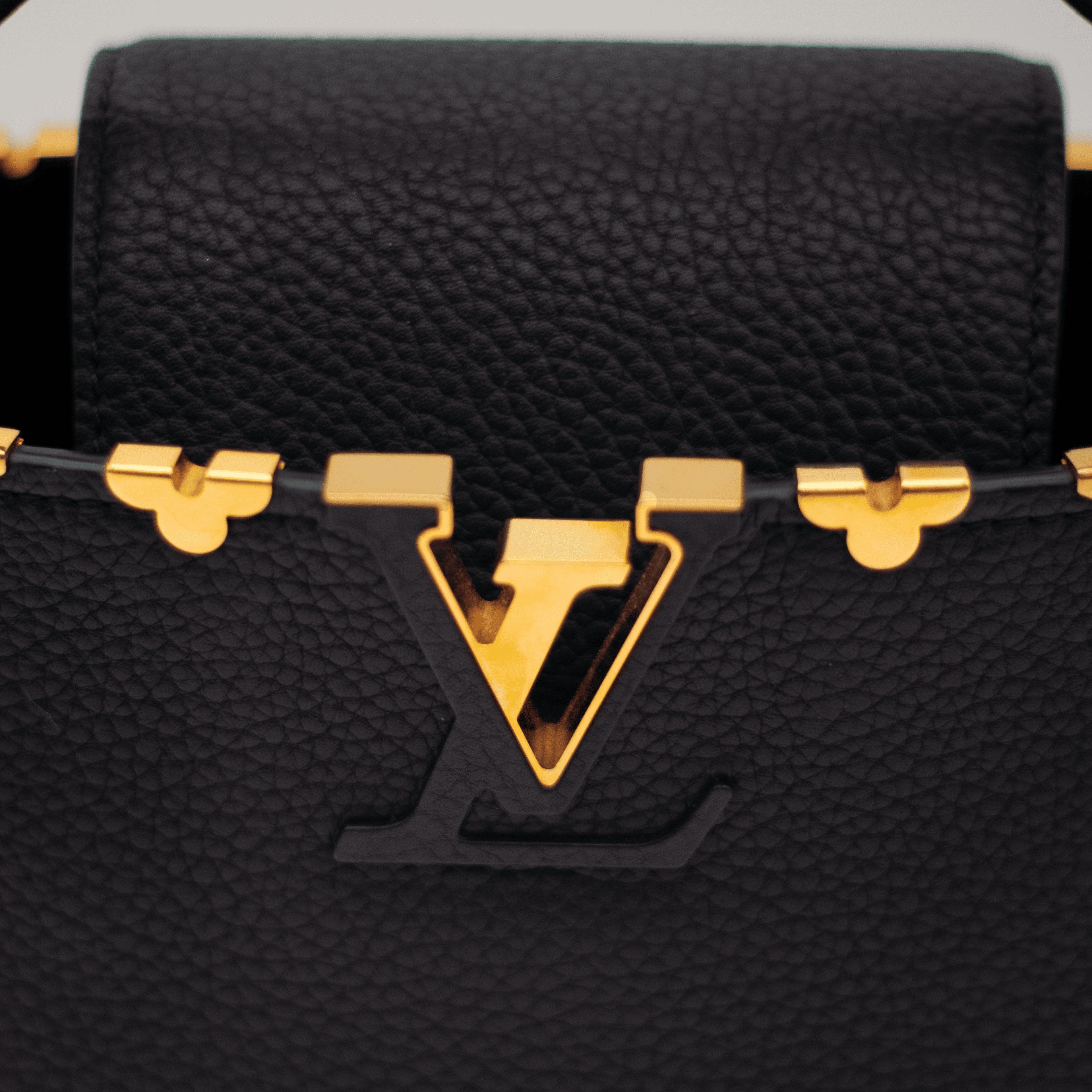 Louis Vuitton Capucines Mini Bag