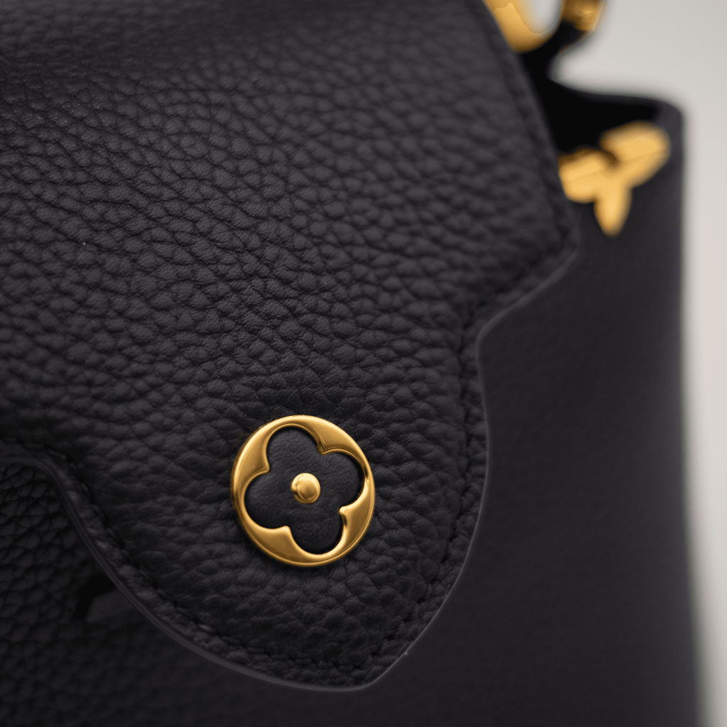 Louis Vuitton Capucines Mini Bag