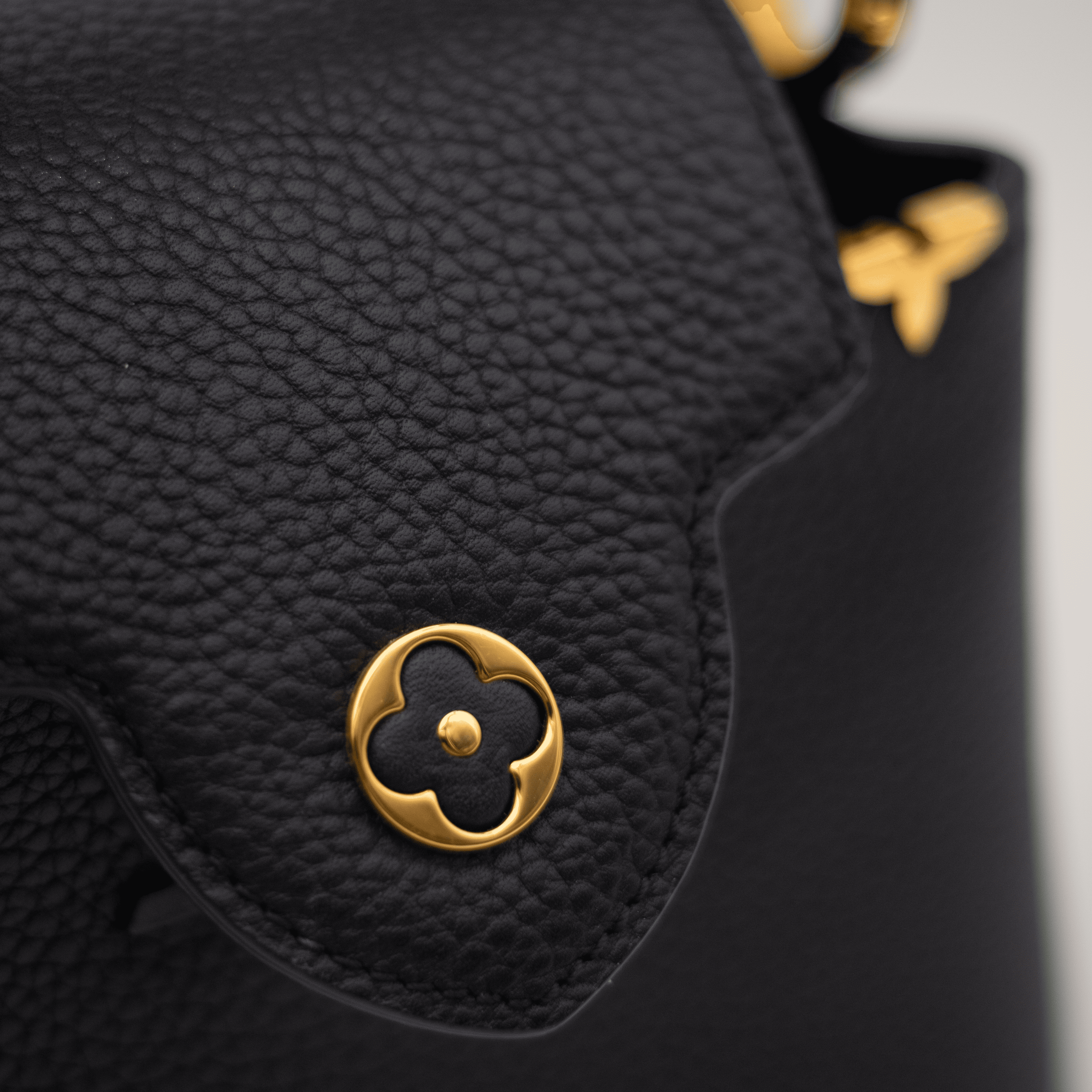Louis Vuitton Capucines Mini Bag