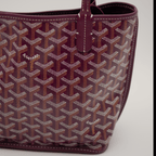 Goyard Anjou Mini Bag