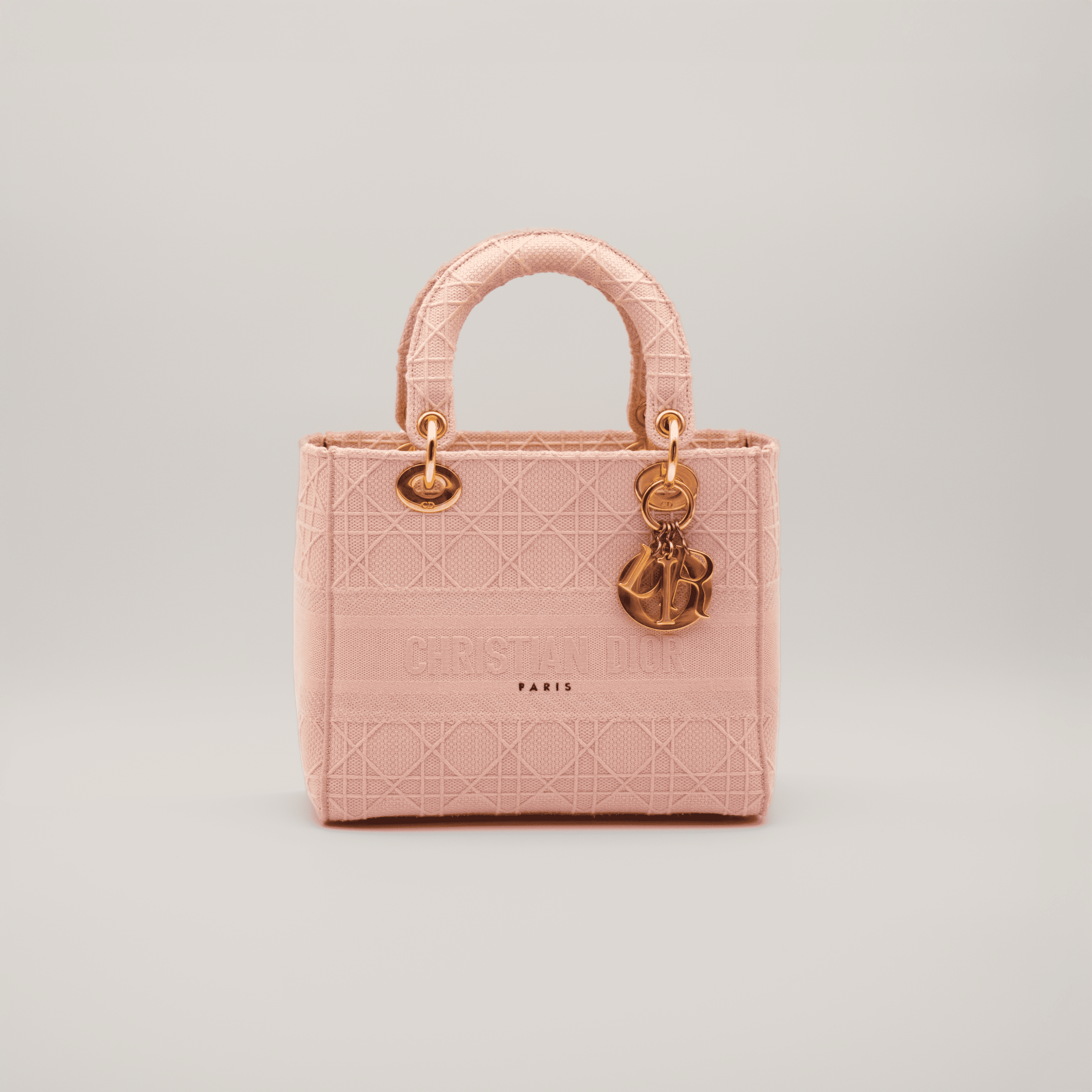 Christian Dior Lady Dior D-Lite