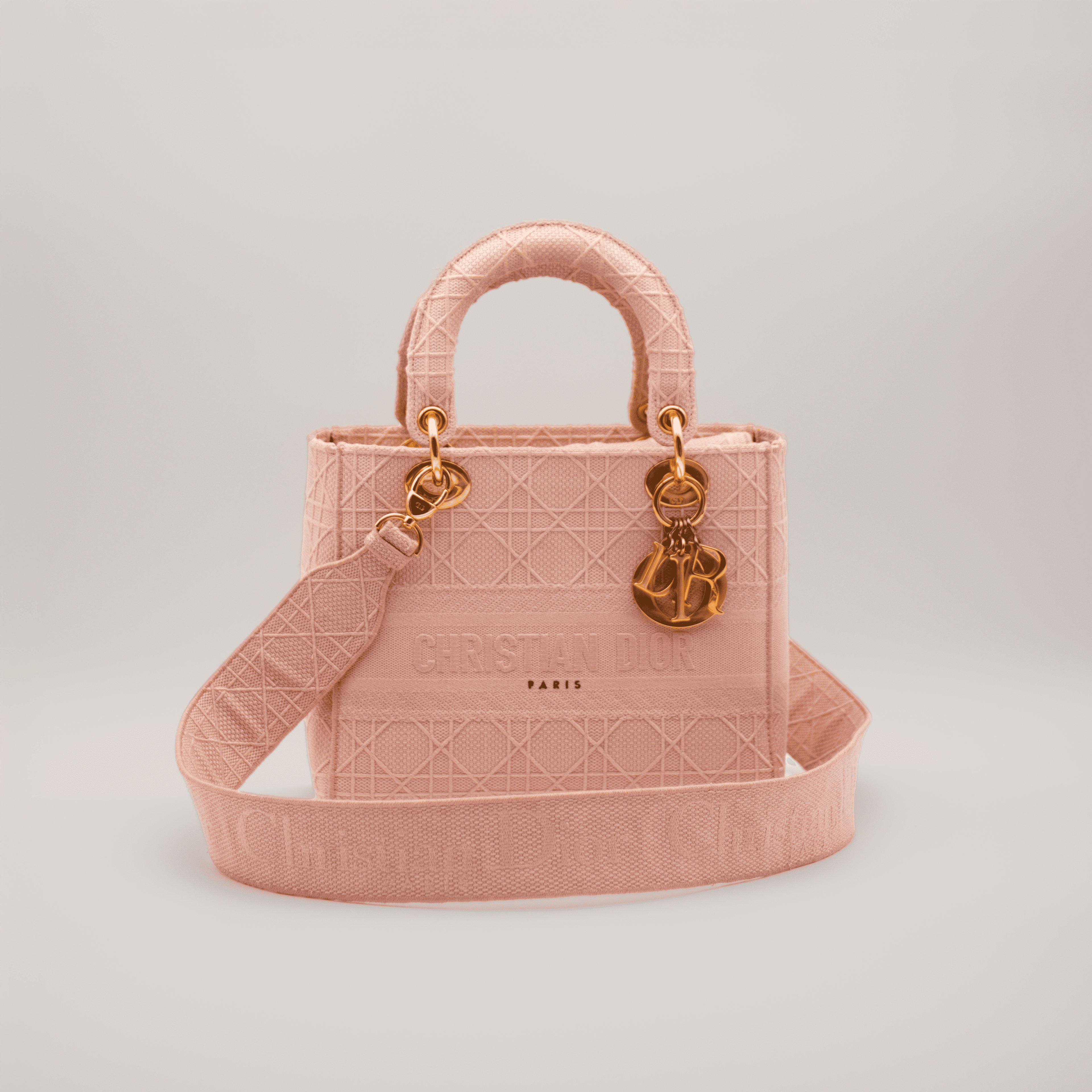 Christian Dior Lady Dior D-Lite
