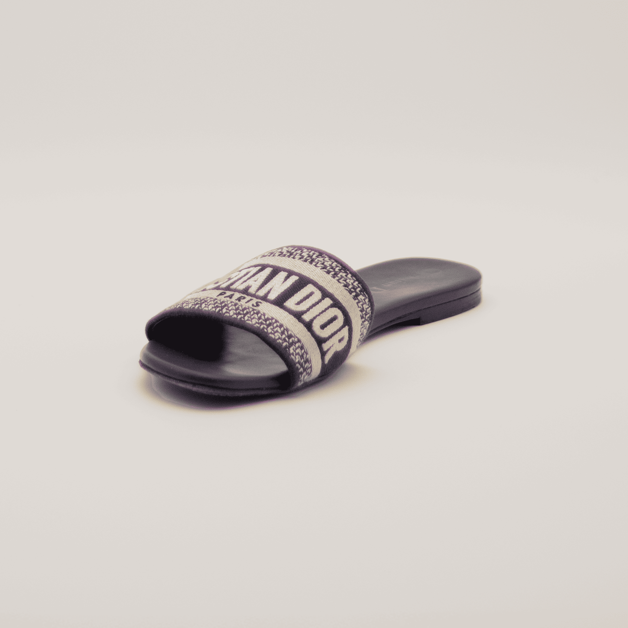 Christian Dior Dway Slide