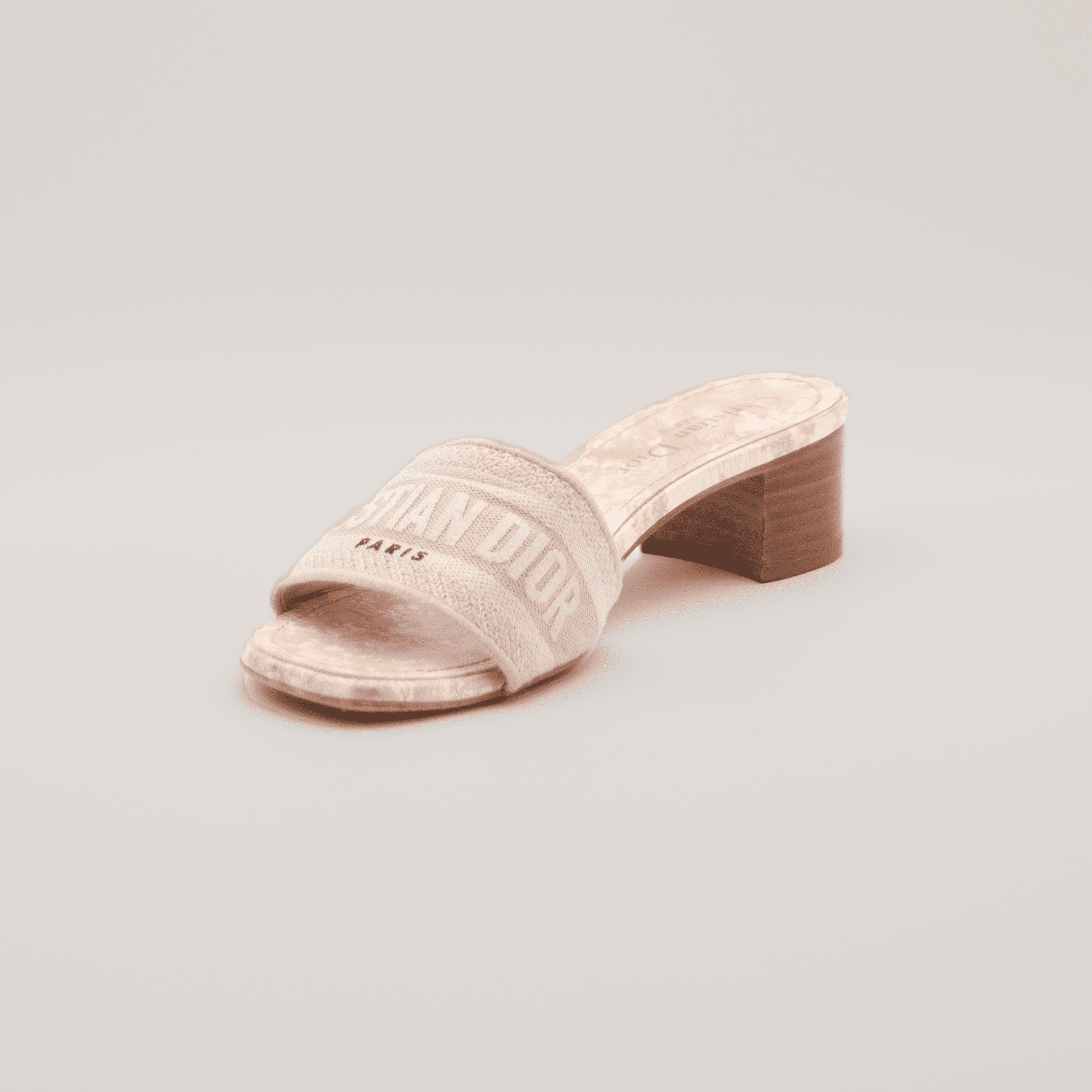 Christian Dior Dway Heeled Slide