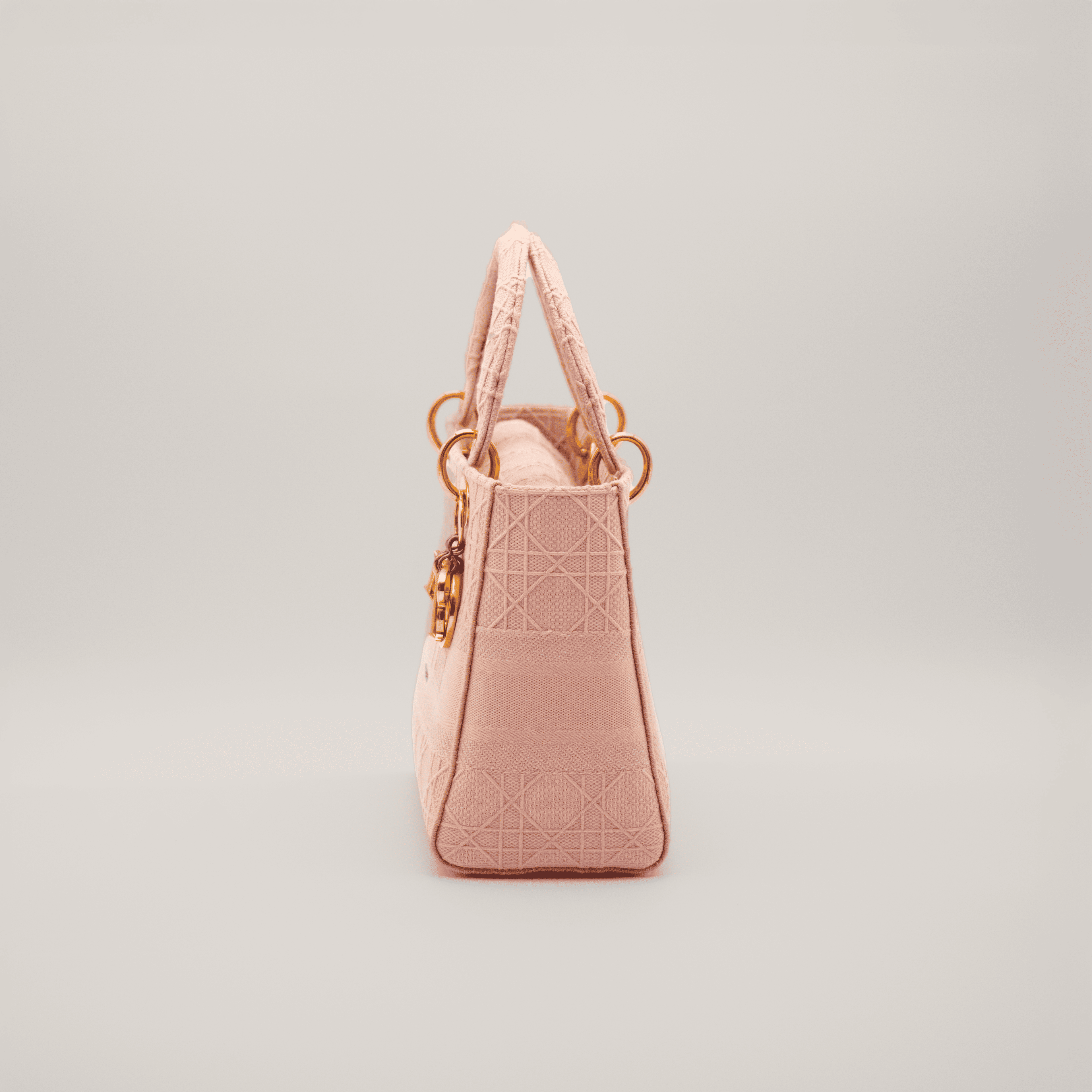 Christian Dior Lady Dior D-Lite