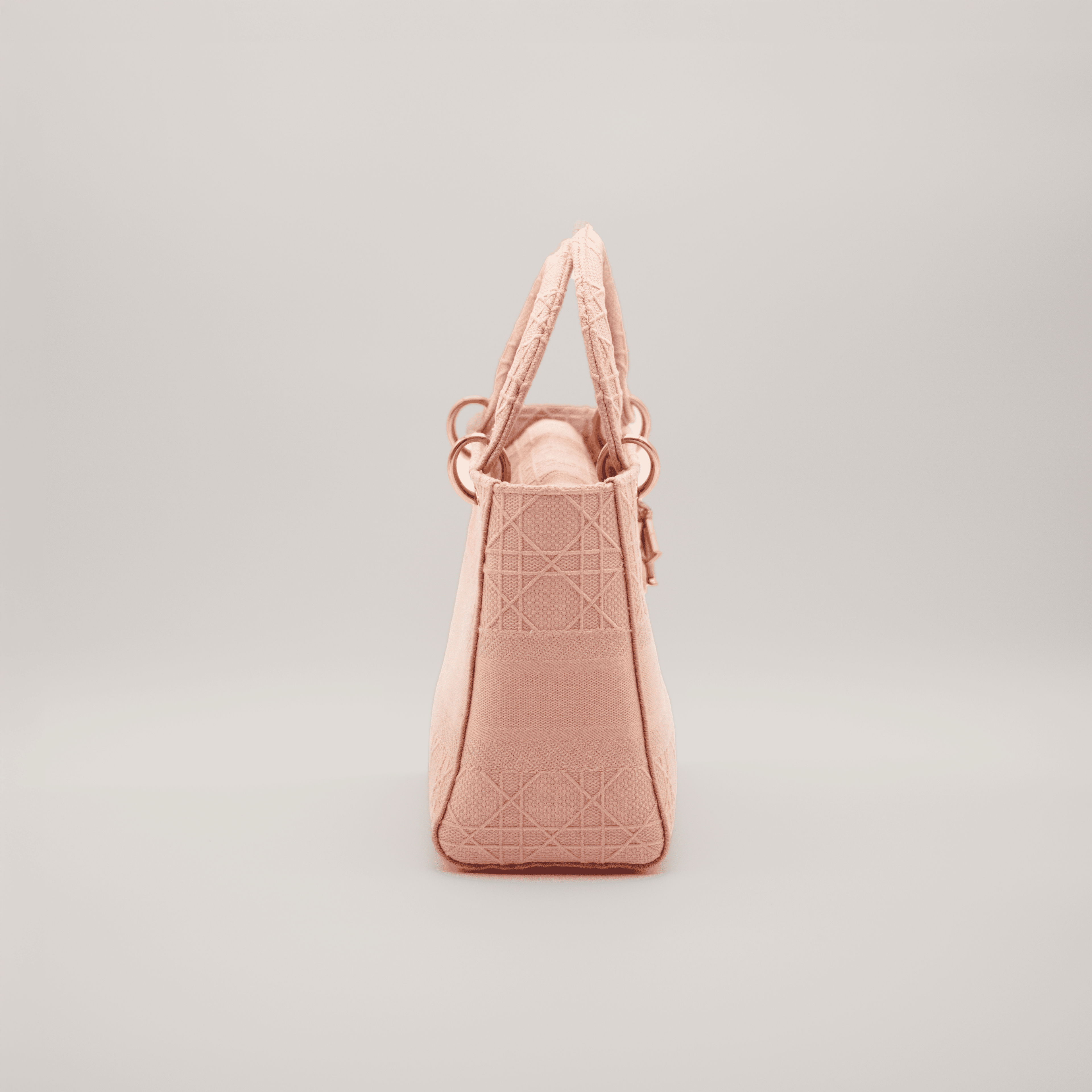 Christian Dior Lady Dior D-Lite